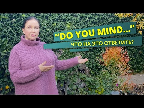 ▶️ Грамматика английского языка и ... вопреки ей… все, что нужно знать о "Do you mind?" ▶️ Грамматика английского языка и ... вопреки ей… все, что нужно знать о "Do you mind?"