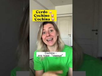 Что важно знать про испанский язык: СВИНЬИ ПОБЕЖДАЮТ! Полная версия по ссылке в комментариях