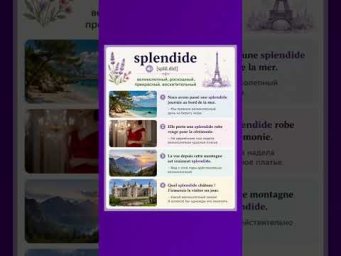 Splendide #французскийязык #французскийпополочкам #урокифранцузского #диалогинафранцузском