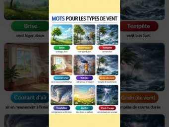 Types de vent &mdash; Виды ветра #французскийснуля #французскийонлайн #французскийпополочкам #урокифранцу