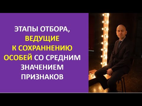 23. Этапы отбора, ведущие к сохранению особей со средним значением признаков