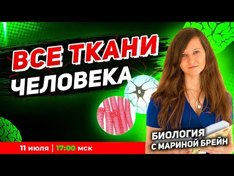 Все ткани человека ЕГЭ | Пробная неделя мастер-группы с Мариной Брейн Все ткани человека ЕГЭ | Пробная неделя мастер-группы с Мариной Брейн