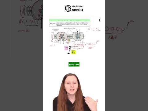 ЗАЧЕМ КЛЕТКЕ НУЖЕН НАСОС тгк: Марина Брейн #егэ2027 #егэбиология ЗАЧЕМ КЛЕТКЕ НУЖЕН НАСОС тгк: Марина Брейн #егэ2027 #егэбиология