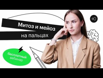 Митоз и мейоз на пальцах | ЕГЭ БИОЛОГИЯ 2022 | СОТКА