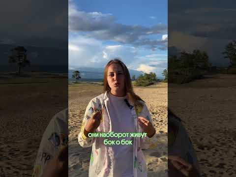 Необычный союз в мире природы 
