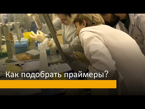 Механизм подбора праймеров к последовательностям "в ручном режиме" для выполнения тестового задания Механизм подбора праймеров к последовательностям "в ручном режиме" для выполнения тестового задания