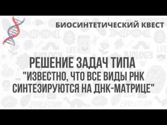 Биосинтетический Квест | Решение задач типа "Известно, что все виды РНК синтезируются на ДНК-матрице
