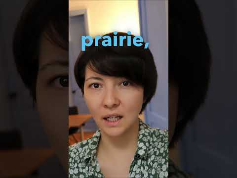 Жан-Пьер Клари де Флориан "Plaisir d'amour" #французский #стихотворение #изучениефранцузского Жан-Пьер Клари де Флориан "Plaisir d'amour" #французский #стихотворение #изучениефранцузского