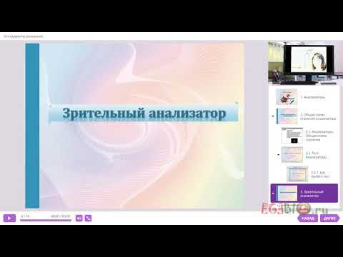 Анализаторы. Зрительный анализатор. Видеоуроки биологии на egebio.ru