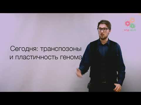 Перестройки генома. Транспозоны и пластичность генома (без музыки)