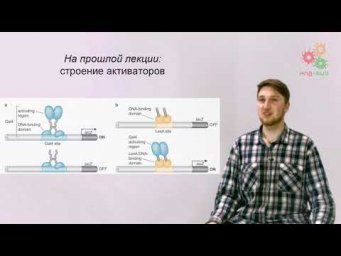 Регуляция работы генов. Регуляторные РНК (без музыки)