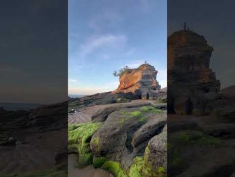 Тишина моря 