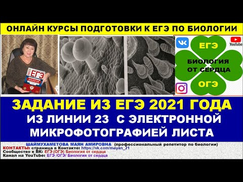 ЗАДАНИЕ ИЗ ЕГЭ 2021 ГОДА. ЛИНИЯ 23 ПРО ТРИХОМЫ