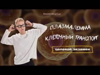 ЦИТОПЛАЗМАТИЧЕСКАЯ МЕМБРАНА. КЛЕТОЧНЫЙ ТРАНСПОРТ | Целевой экзамен