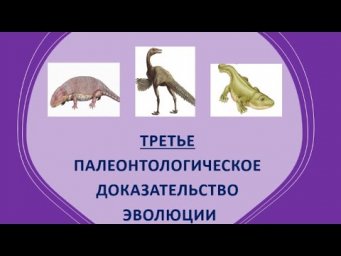 8. Третье палеонтологическое доказательство эволюции