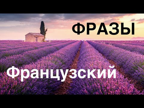 ФРАНЦУЗСКИЙ ЯЗЫК ПОЛЕЗНЫЕ ФРАЗЫ ТОП-20 ФРАНЦУЗСКИЙ ЯЗЫК ДЛЯ НАЧИНАЮЩИХ С НУЛЯ