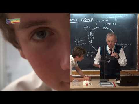 9 кл - 21. Глаз. Зрение. Восприятие цветов