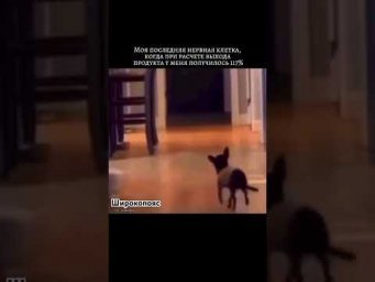 Не, ну это совсем никуда не годится #химияегэ #егэхимия