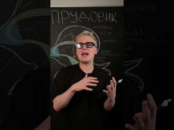 Строение прудовика | Биология с Яном