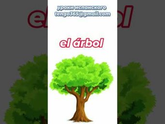 Испанский язык. Устойчивые выражения: " El dinero no crece en ... " #shorts
