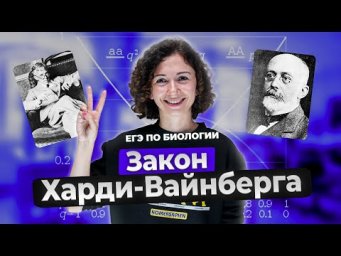 Закон Харди-Вайнберга. Теория и разбор задач для ЕГЭ 2024