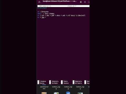 Bash-скрипт для автоматической сортировки #bash #linux #скрипт #автоматизация #начинающим