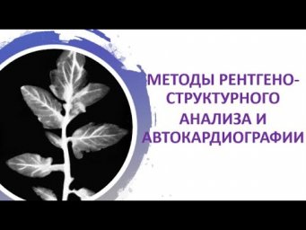 14. Методы рентгеноструктурного анализа и авторадиографии