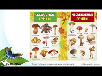 2021 2022 Кл 05 Пр Тем 05 У урок 04 07 04 2022