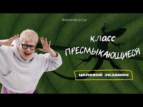КЛАСС ПРЕСМЫКАЮЩИЕСЯ | Целевой экзамен КЛАСС ПРЕСМЫКАЮЩИЕСЯ | Целевой экзамен