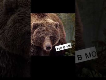 Математика вокруг #математика
