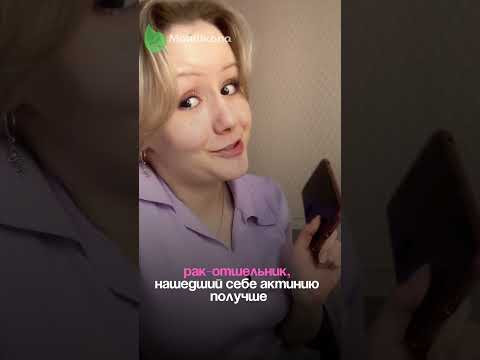 Подробнее отношения актинии и рака разобрали в нашем тг по ссылке в шапке профиля #егэ2025 #биология