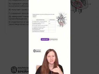 ДВИЖЕНИЕ КРОВИ В СЕРДЦЕ #биологияегэ #биология