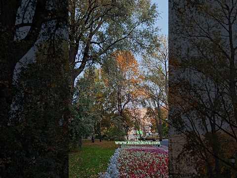 Разрушение Хлорофилла и образование Золотой Осени • Корешкова Ирина ОнлайнХимик • Химия Биология ЕГЭ Разрушение Хлорофилла и образование Золотой Осени • Корешкова Ирина ОнлайнХимик • Химия Биология ЕГЭ