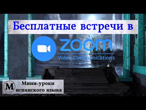 Бесплатные встречи в Zoom. Бесплатные встречи в Zoom.