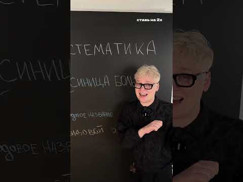 Систематика животных. 8 класс | Биология с Яном Систематика животных. 8 класс | Биология с Яном