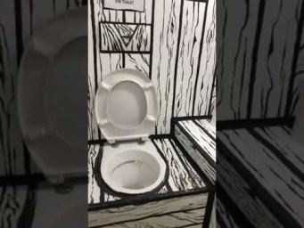 Необычный туалет в СПб
