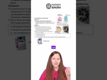 ОДНА ИНСТРУКЦИЯ ОДИНАКОВЫЕ БЕЛКИ  тгк: Марина Брейн #егэ2027 #егэбиология
