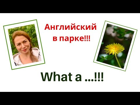 Артикль A в выражении WHAT A ....!!! Английская грамматика.
