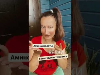 Расщепление полимеров и ферменты. Важно для ОГЭ и ЕГЭ по биологии