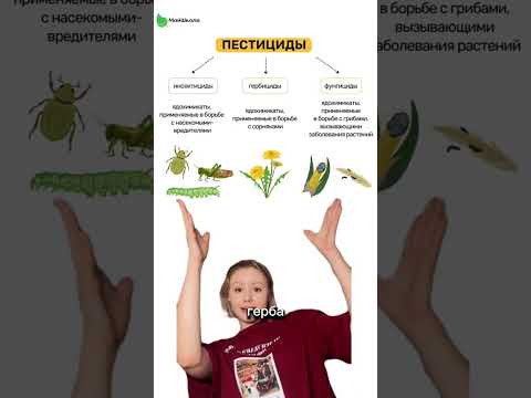 ЕГЭ по биологии в Тгк Алена Май #биология #егэ