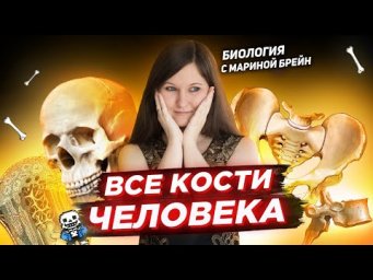 ВСЕ КОСТИ ЧЕЛОВЕКА ДЛЯ ЕГЭ