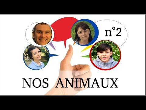 Nos animaux. Наши животные. Nos animaux. Наши животные.