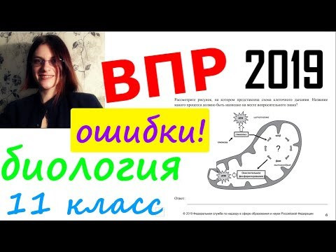 Всероссийская проверочная работа по биологии 11 класс 2019