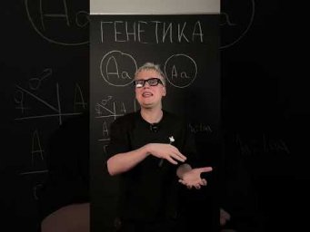 Второй закон Менделя | Биология с Яном