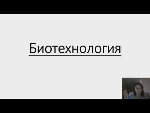 Биотехнология. Методы биотехнологии. ГМО не опасны?