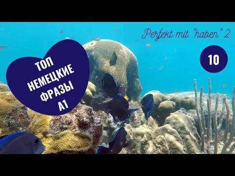 Немецкий язык. Уроки немецкого. PERFEKT MIT "HABEN" 2 Немецкий язык. Уроки немецкого. PERFEKT MIT "HABEN" 2