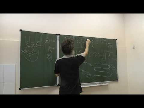 Цитология. Часть 2. Окштейн И. Л. 05.11.2014 edit