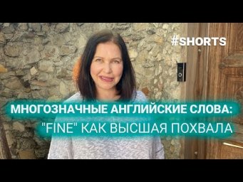 Многозначные английские слова. "Fine" как высшая похвала. #shorts