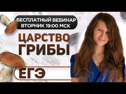 ЦАРСТВО ГРИБЫ ЦАРСТВО ГРИБЫ