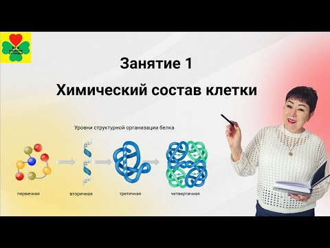 ЛЕТНЕЕ ЗАНЯТИЕ №1. Тема "Химический состав клетки"